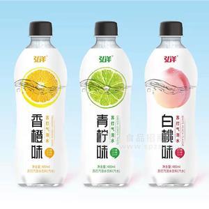 弘洋香橙味青柠味白桃味苏打气泡水饮料汽水480ml