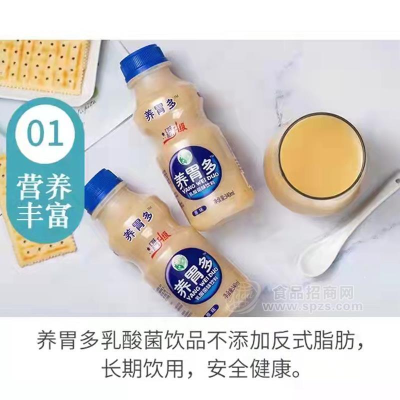 養(yǎng)胃多乳酸菌味飲料乳飲料招商