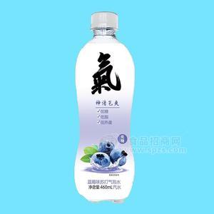 蓝莓味苏打气泡水汽水460ml