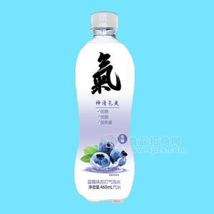 藍(lán)莓味蘇打氣泡水汽水460ml