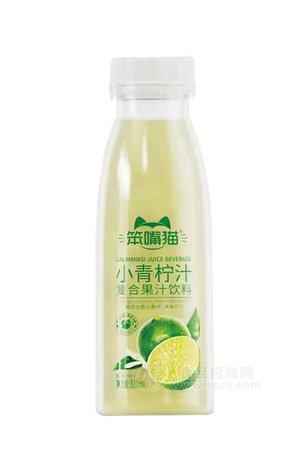 笨嘴貓小青檸汁茶310ML