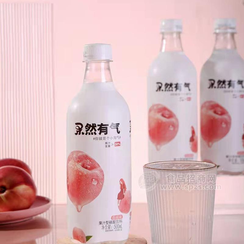 ·果然有气红柚味复合果汁（含气）饮料招商500ml 