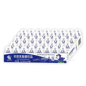 綠寶羊奶乳酸菌飲品托盤(pán)100mlx40瓶