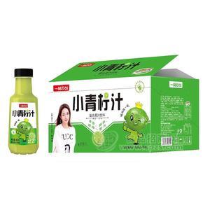 一品云臺(tái)小青檸汁復(fù)合果汁飲料招商450mlX15瓶