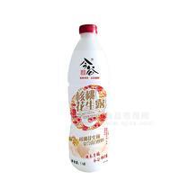 今谷核桃花生露复合蛋白饮料招商1.5L
