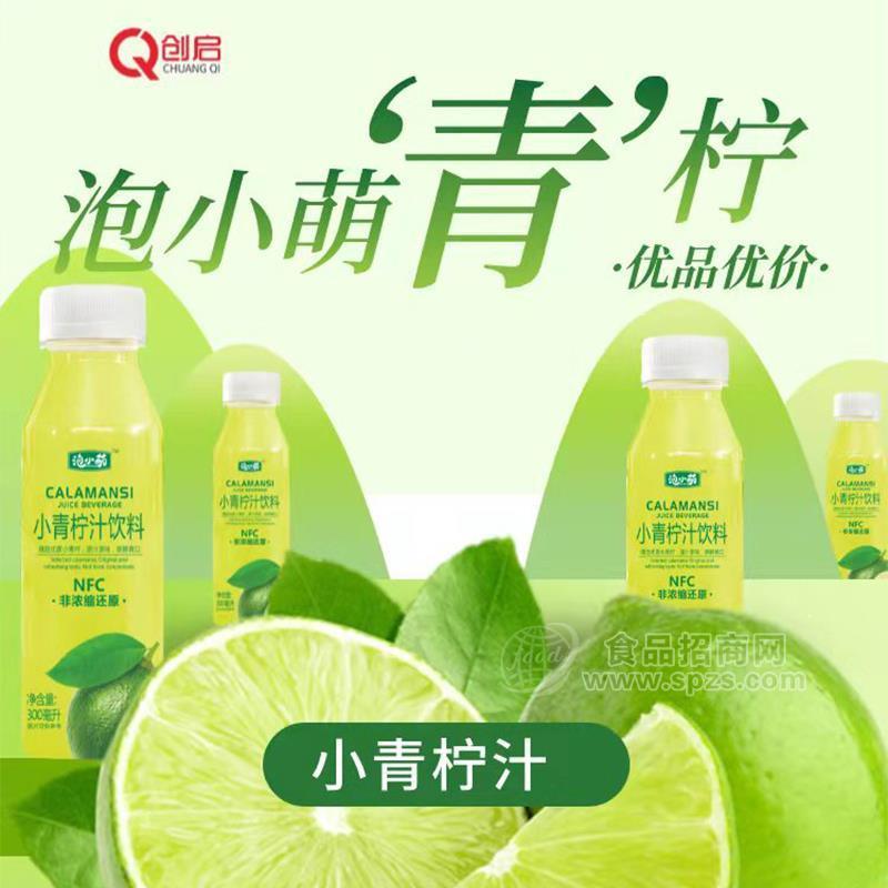 泡小萌青檸汁小青檸果汁飲料招商