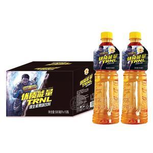 優(yōu)質(zhì)能量維生素果味飲料風(fēng)味飲料箱裝招商580ml×15瓶