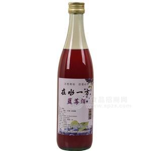 在水一方 蓝莓酒 果酒