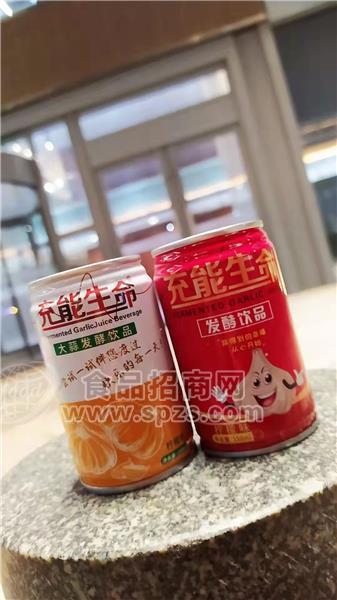 充能生命 大蒜汁發(fā)酵飲品