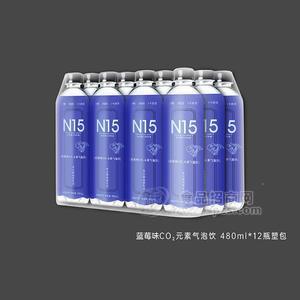 N15藍(lán)莓味氣泡飲碳酸飲料480mlx15瓶