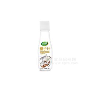 臺(tái)椰椰子汁植物蛋白飲料500ml