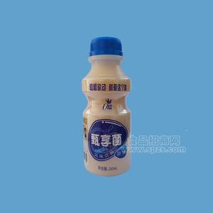 甄享菌乳酸菌風(fēng)味飲品（代工）原味340ml