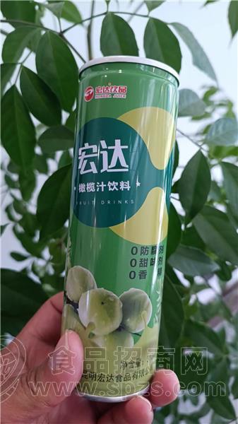 宏达橄榄枝饮料果汁饮料全国招商