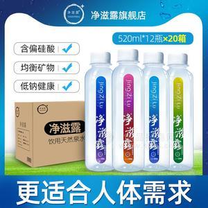 凈滋露飲用天然泉水500mlx12瓶x20箱