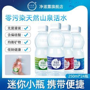 凈滋露零污染天然山泉活水250mlx24瓶