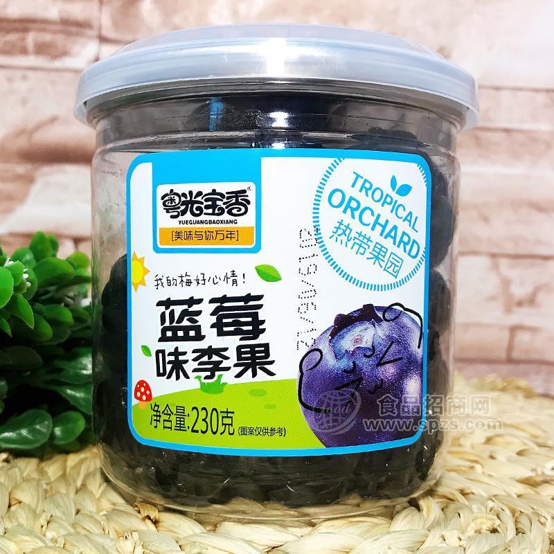 粵光寶香藍(lán)莓味李果蜜餞果脯食品230g