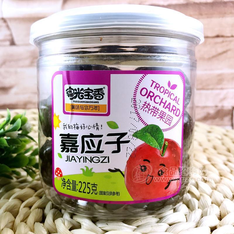 粵光寶香嘉應(yīng)子休閑零食易拉罐裝225g