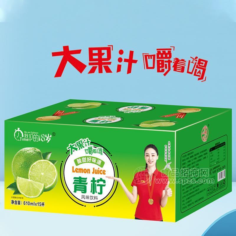 我们的18岁青柠汁风味饮料大果汁610mlx15杯