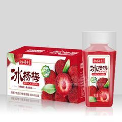 杨梅村冰杨梅果蔬汁饮品招商350mlx15瓶