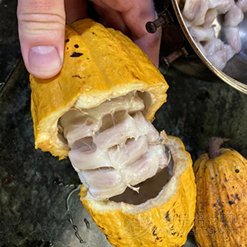 可可豆浓缩汁（Cocoa Concentrated Ju）