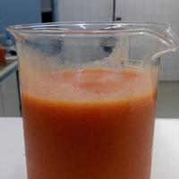 卡贾浓缩汁（Caja Concentrated Ju）