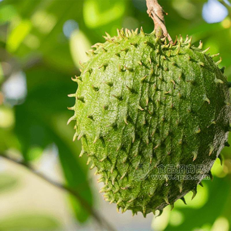 刺果番荔枝濃縮汁（Soursop Concentrated Ju）