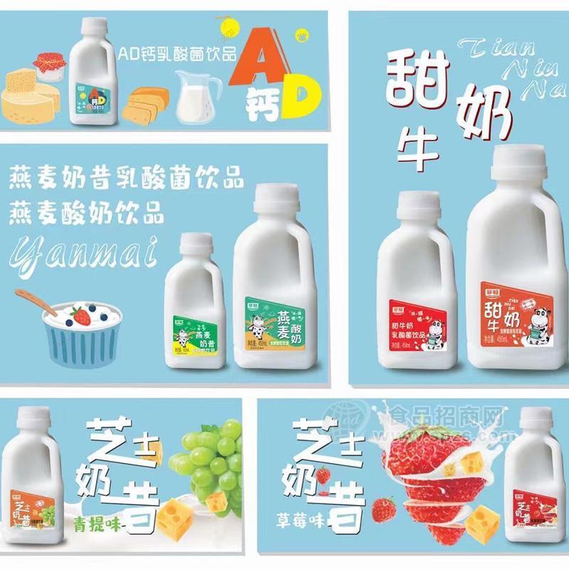 菲畅芝士奶昔甜牛奶乳酸菌饮品组合