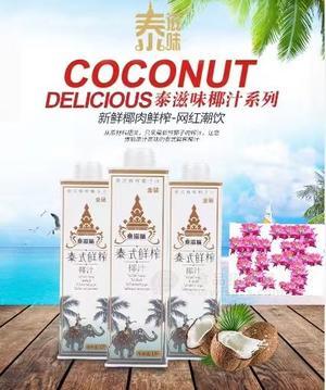 泰滋味椰汁系列1升泰式鲜榨椰汁招商
