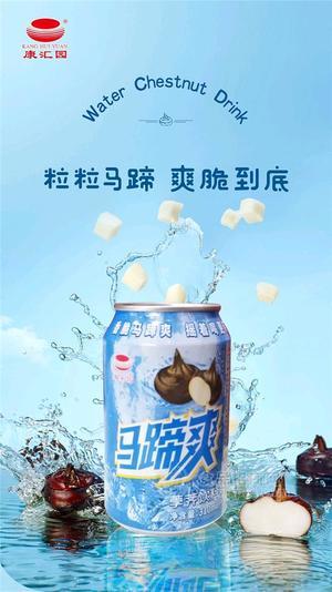 康汇园无添加马蹄爽310ml罐装果汁
