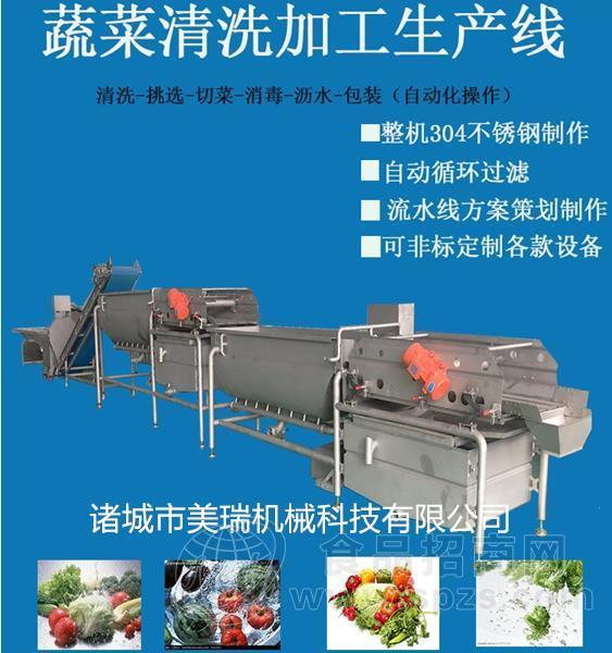 全自动果蔬气泡清洗机 大枣气泡清洗机 蔬菜水果清洗设备