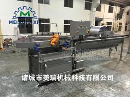 草莓清洗风干流水线 蔬菜气泡式清洗机 净菜加工涡流清洗机