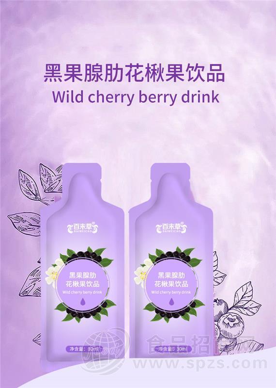 黑果腺肋花楸果饮品 袋装口服液加工