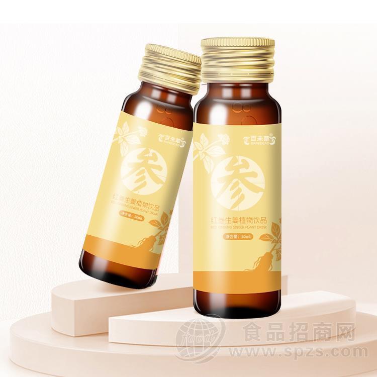 山药黄精牡蛎肽饮品加工 复合低聚肽液态饮品贴牌定制