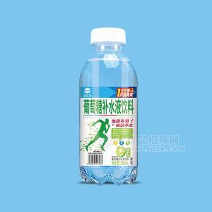 康匯園青檸味葡萄糖補(bǔ)水液飲料招商500ml