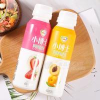 小博士草莓黄桃果粒奶昔酸奶饮品招商