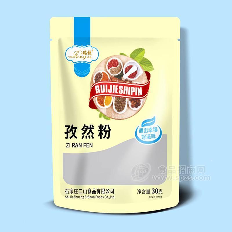 瑞捷孜然粉調(diào)味品30g