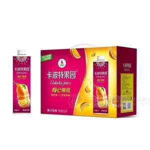 卡波特果园橙汁橙味果汁饮料箱装厂家招商