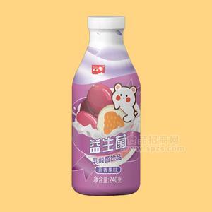 云牛百香果味益生菌乳酸菌饮品乳饮料240g