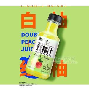 粒果樂雙柚汁復(fù)合果汁飲品瓶裝果汁飲料招商410ml