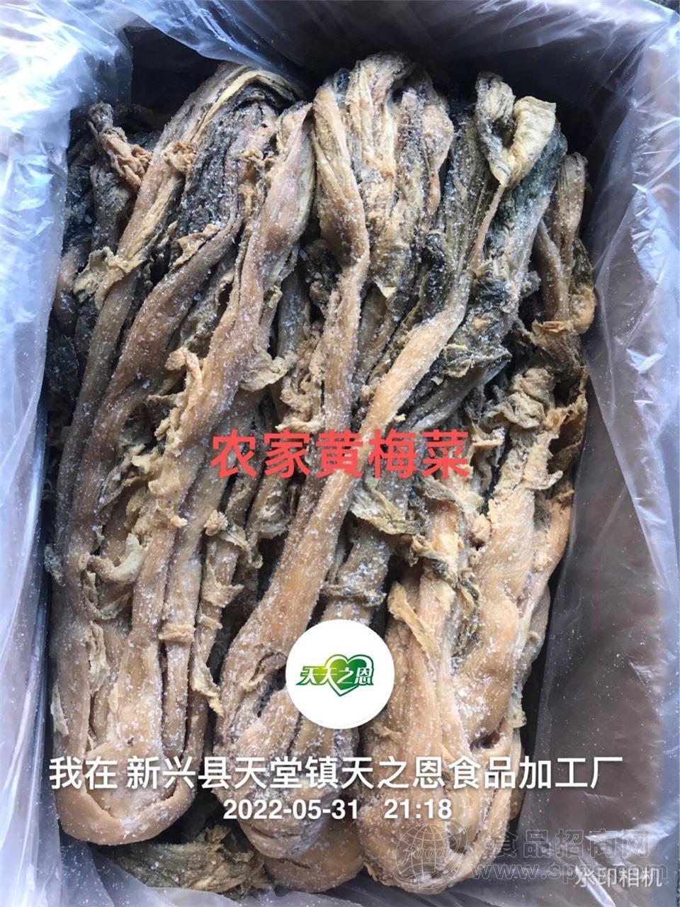 黄梅菜
