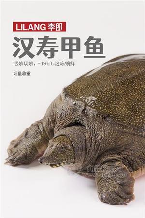 汉寿甲鱼预制菜