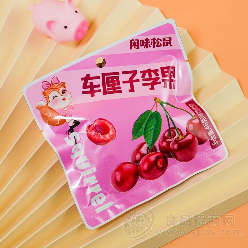 闲味松鼠车厘子李果蜜饯果脯休闲食品45g