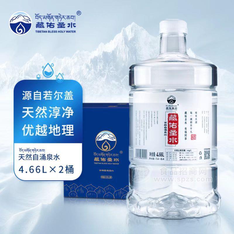 藏佑圣水 天然自涌泉水4.66L×2桶 桶装水