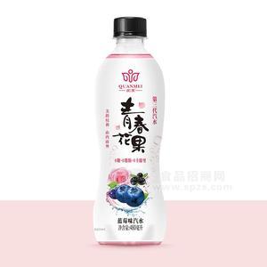 權(quán)美青春花果藍(lán)莓味汽水瓶裝招商480ml