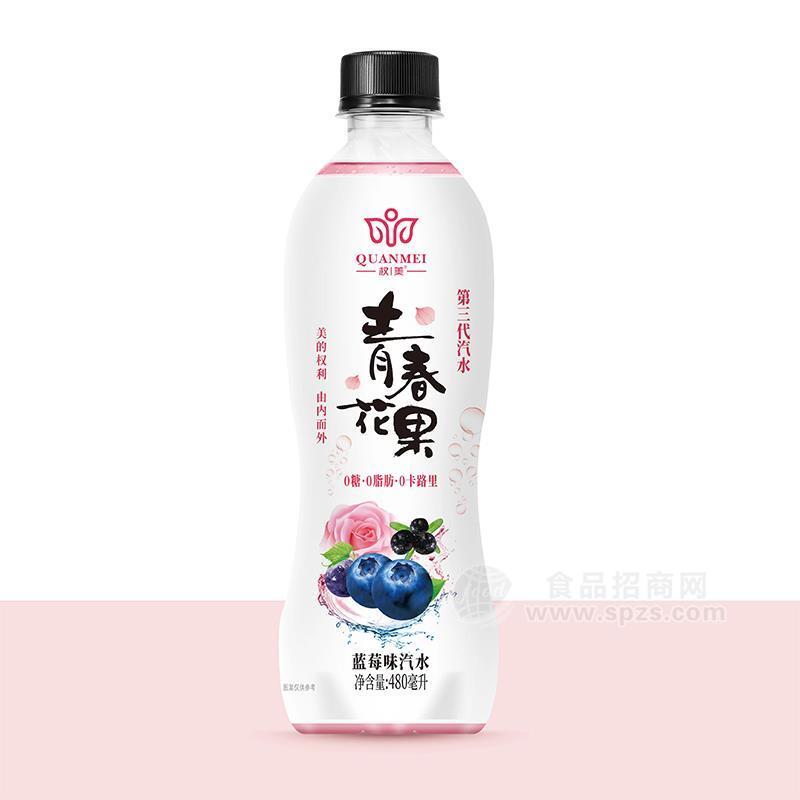 權(quán)美青春花果藍(lán)莓味汽水瓶裝招商480ml