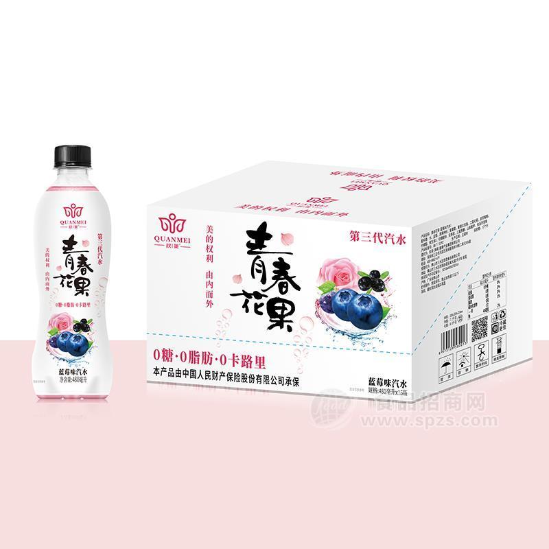 權(quán)美青春花果藍莓味汽水招商480ml×15瓶