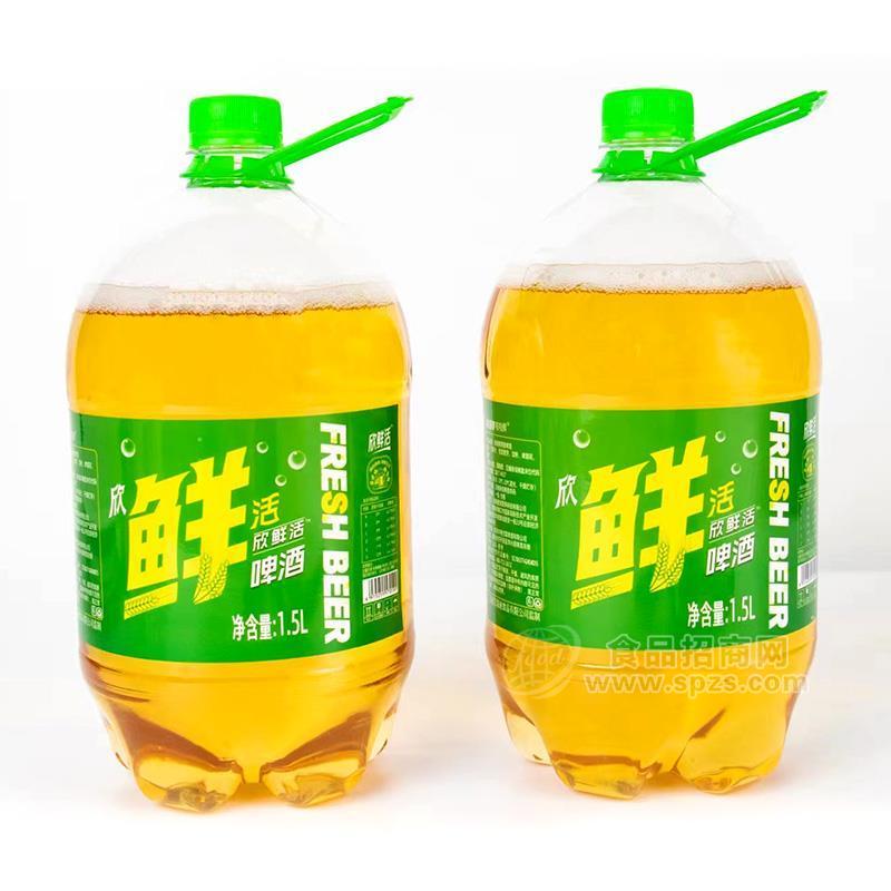 欣鮮活啤酒招商1.5l