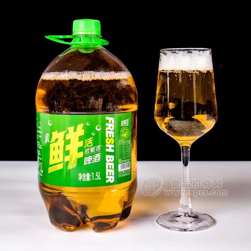 ·欣鲜活啤酒招商净含量1.5L 