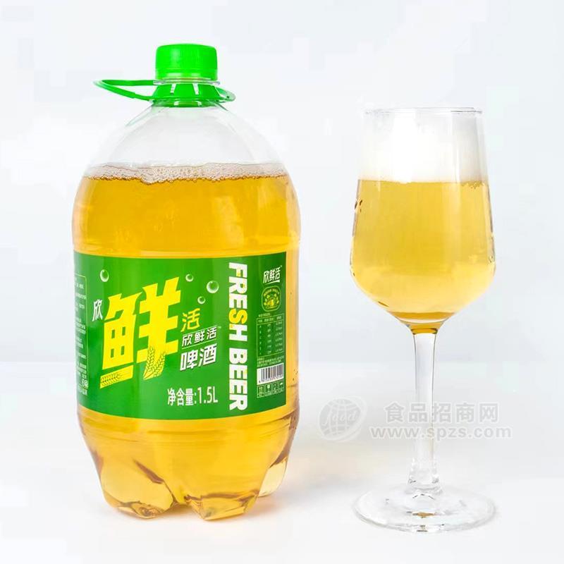 ·欣鲜活啤酒大桶装1.5l 