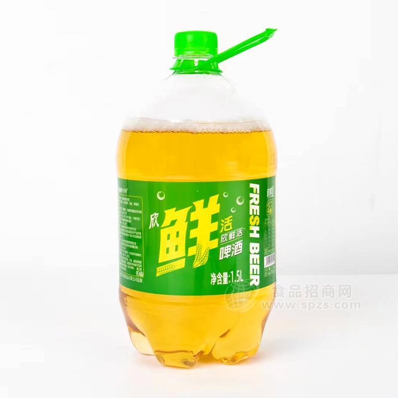 ·欣鲜活啤酒桶装招商1.5l 